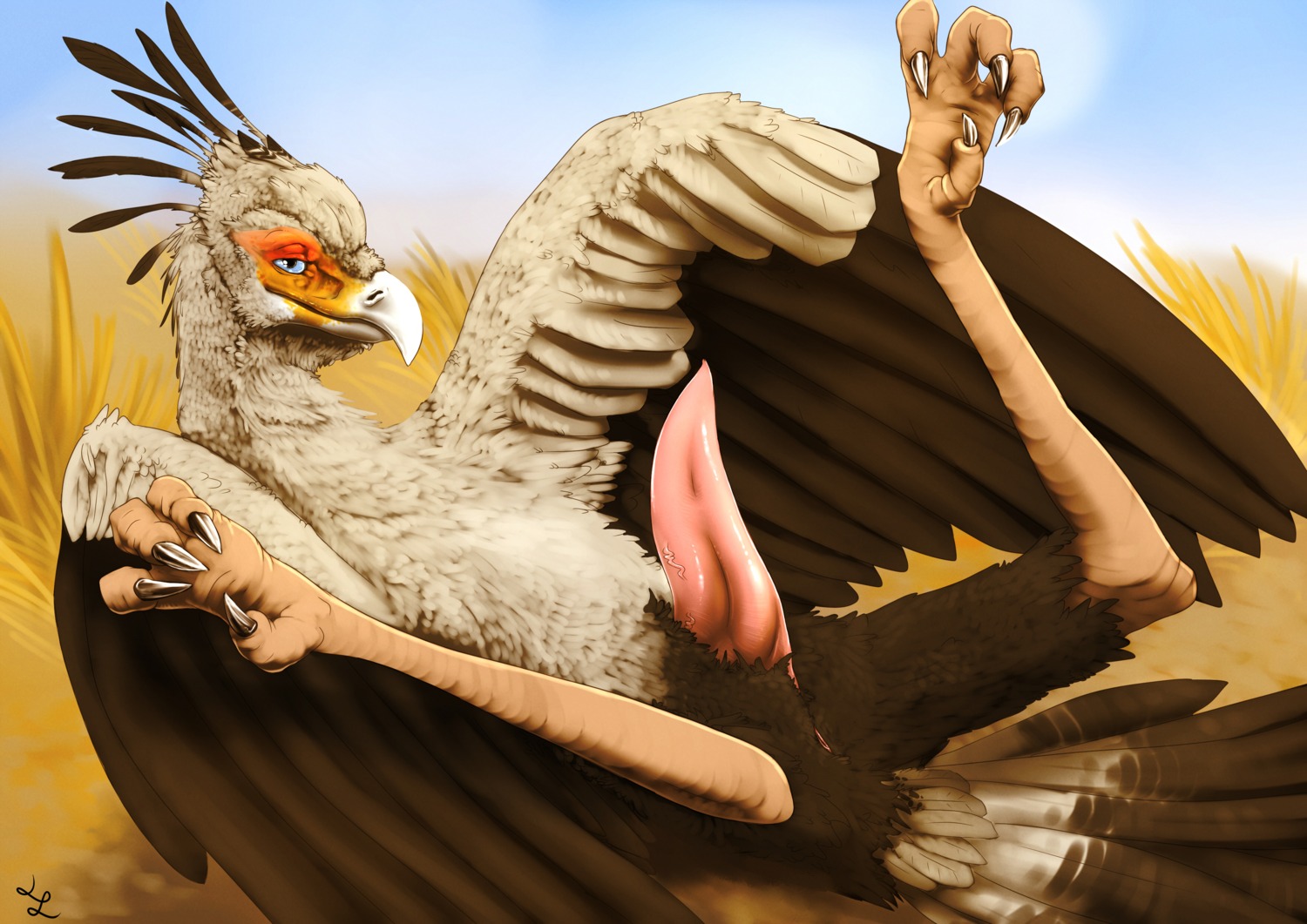 4_toes absurd_res accipitriform animal_genitalia anisodactyl anus avian avian_feet beak bird blue_eyes claws cloacal_penis digital_media_(artwork) digitigrade e621 erection feathered_wings feathers feet feral genitals half-closed_eyes hi_res lizardlars looking_at_viewer lying male narrowed_eyes nude on_back outside penis secretary_bird smile solo spread_legs spread_wings spreading tapering_penis toe_claws toes wings
