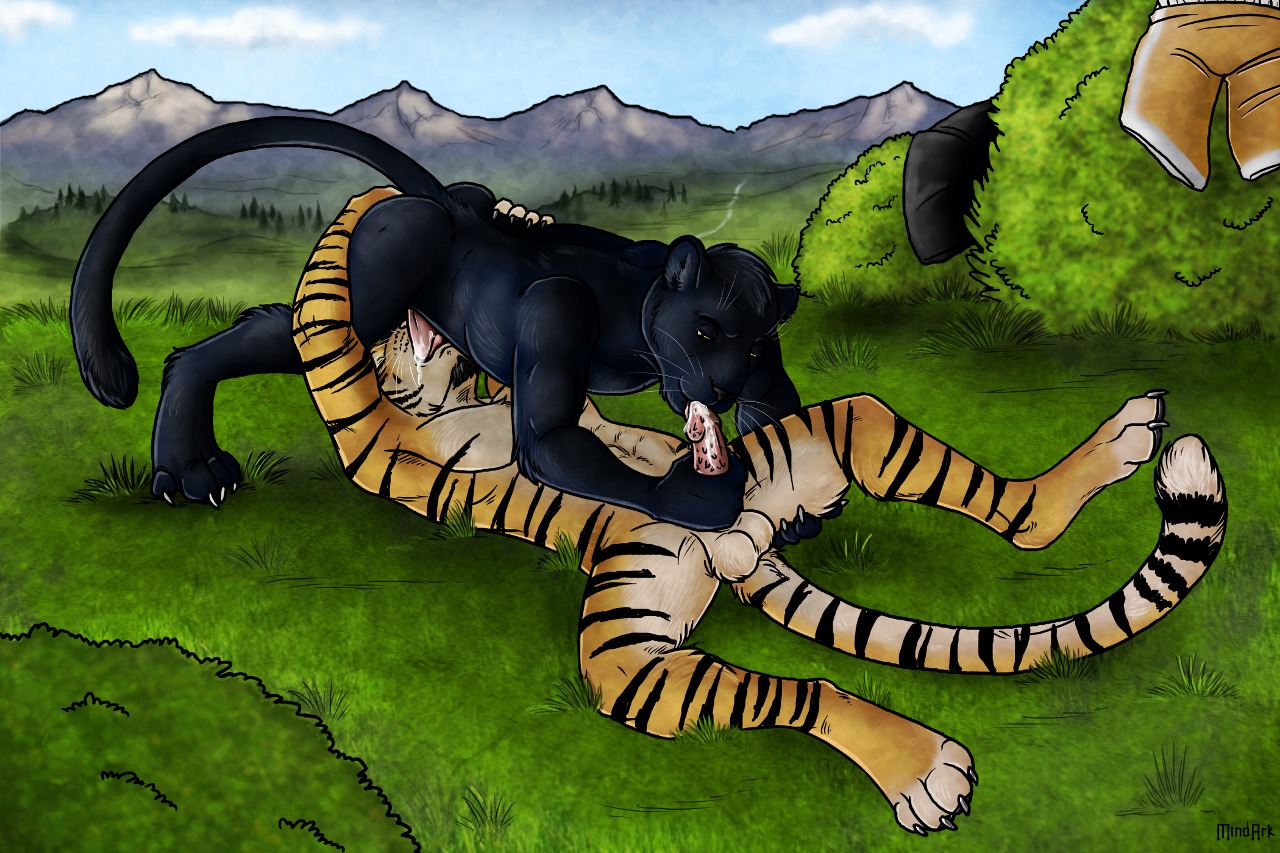 69_position anthro balls bodily_fluids boxers_(clothing) clothing cloud cum detailed_background duo e621 erection felid fellatio genital_fluids genitals incertum_(character) licking lying male male/male male_penetrated male_penetrating male_penetrating_male mammal melanistic mindark nature nude on_back oral oral_penetration outside pantherine paws penetration penile penile_spines penis penis_lick precum sex sky spread_legs spreading stripes tail tiger tongue tongue_out underwear