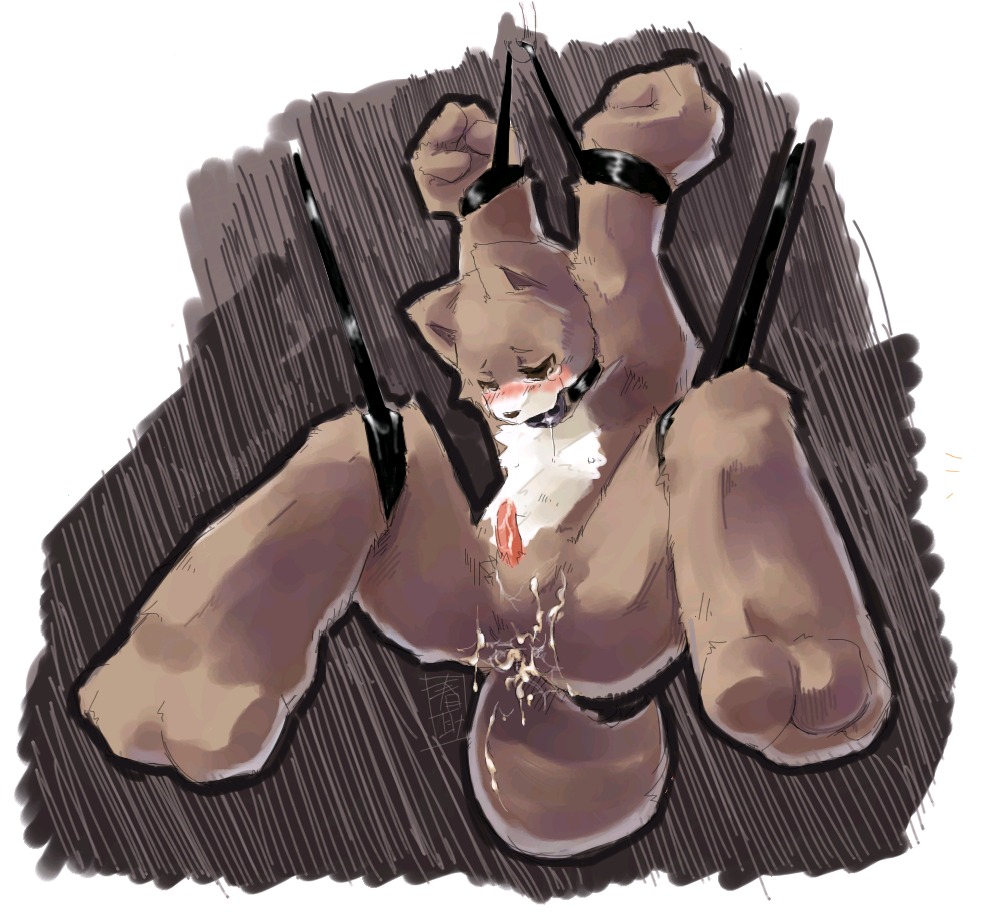 anal anthro blush bodily_fluids bound brown_body brown_eyes brown_fur canid canine canis collar cum domestic_dog e621 erection fur gag gagged genital_fluids genitals harusuke male mammal penis solo submissive submissive_male suspension tail tears
