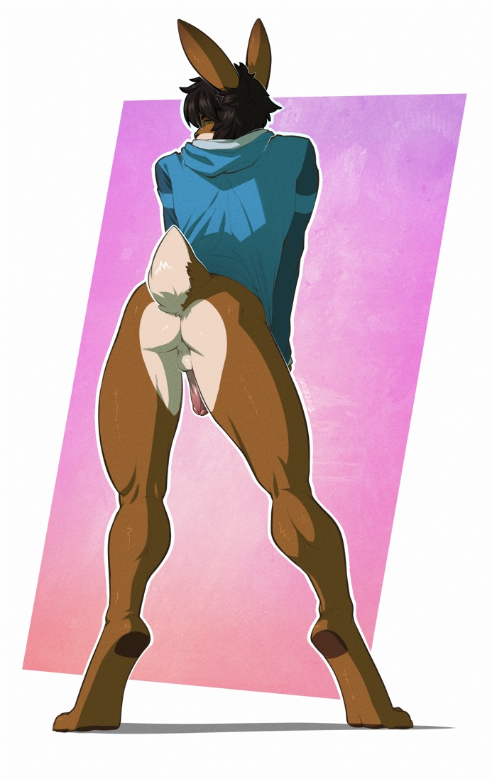 anthro backsack balls border bottomless butt clothed clothing e621 erection genitals hoodie humanoid_genitalia humanoid_penis lagomorph leporid male mammal penis presenting presenting_hindquarters rabbit solo spearfrost topwear white_border