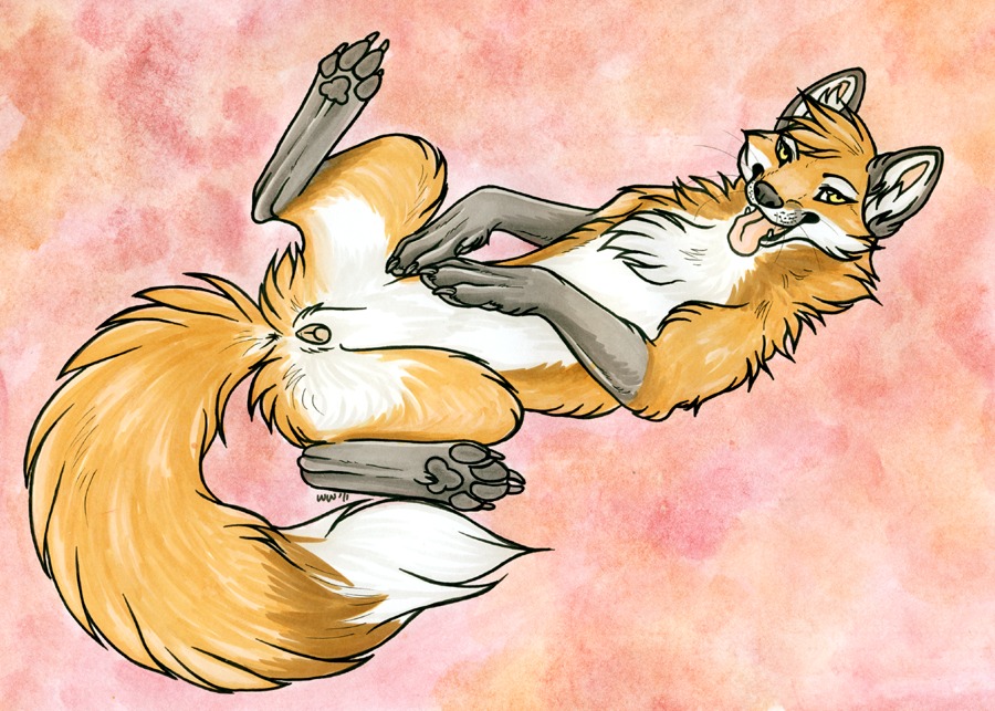 anatomically_correct anatomically_correct_genitalia anatomically_correct_vulva animal_genitalia animal_vulva canid canine canine_genitalia canine_vulva e621 female feral fluffy fluffy_tail fox fur genitals long_tail lying mammal noktivus on_back presenting red_fox solo tail tongue tongue_out true_fox vulva yellow_eyes
