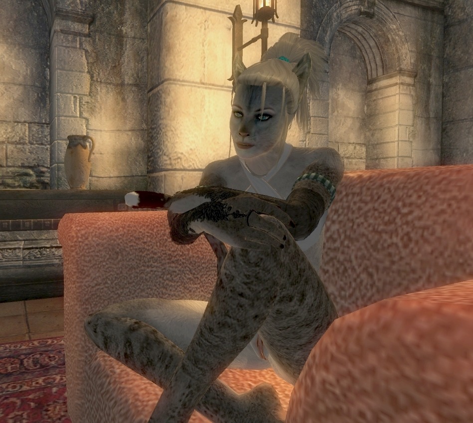 1girls 3d anthro anthro_female anthro_only artist_request female female_only game_screenshot garry's_mod khajiit oblivion rule34 solo tail the_elder_scrolls