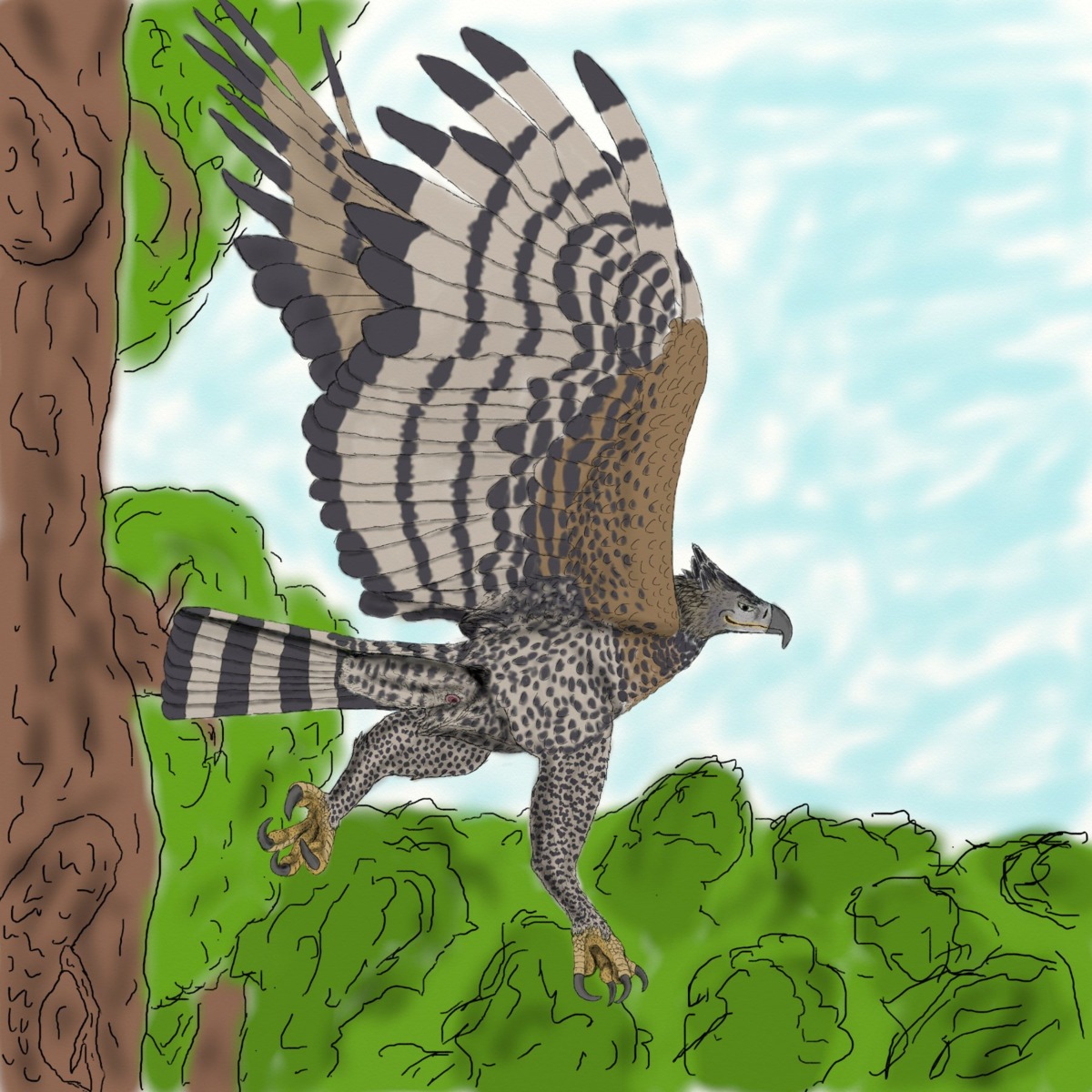 1:1 accipitrid accipitriform animal_genitalia aquilinae avian beak bird cloaca crowned_eagle e621 eagle feral ferobird genitals hi_res male pinup pose round_cloaca solo wings