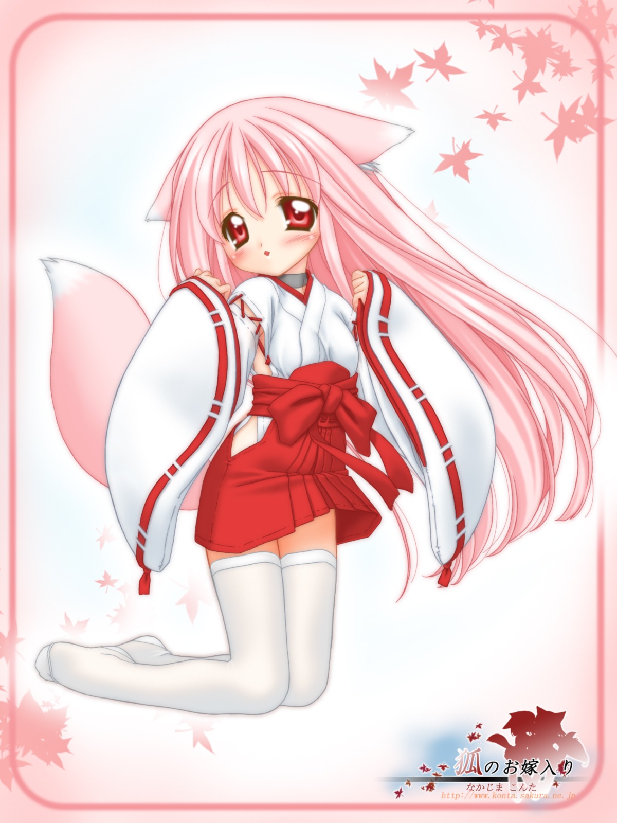 animal_ear animal_ears collar female fox_ear fox_ears fox_tail hakama high_res highres japanese_clothes long_hair miko momoyuki_(snow_fox) nakajima_konta pink_hair red_eyes rule34 snow_fox tail thighhighs wafuku zettai_ryouiki