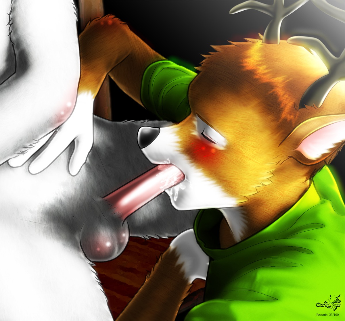 anthro blush darkgoose deer duo e621 erection eyes_closed fellatio genitals licking male male/male male_penetrated male_penetrating male_penetrating_male mammal oral oral_penetration penetration penile penis sex solo_focus tongue tongue_out