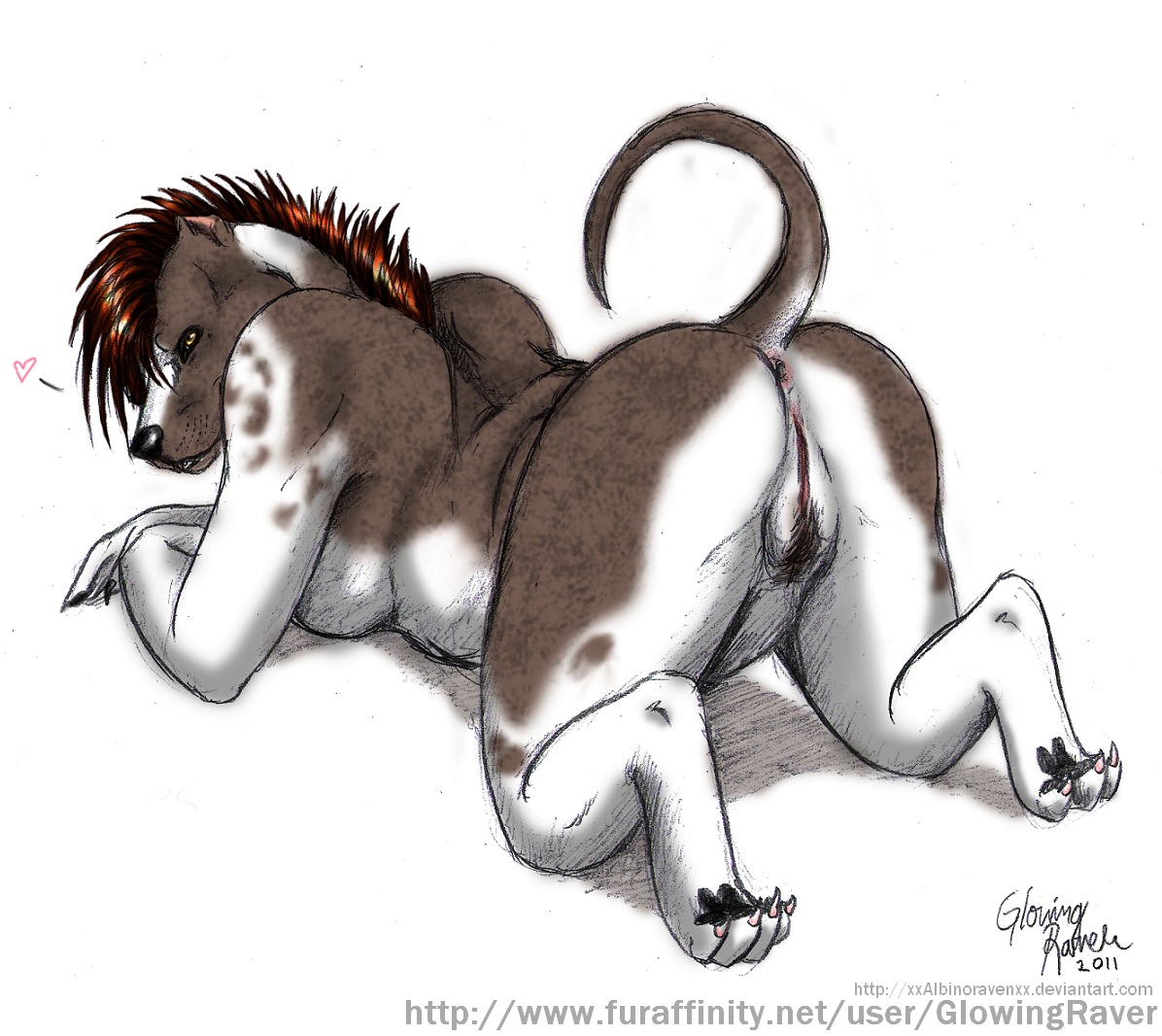 all_fours anthro anus breasts butt canid canine canis domestic_dog e621 female genitals glowingraver heart_symbol mammal mohawk nude overweight overweight_anthro overweight_female pit_bull presenting presenting_hindquarters solo stacey_(glowingraver) tail vulva