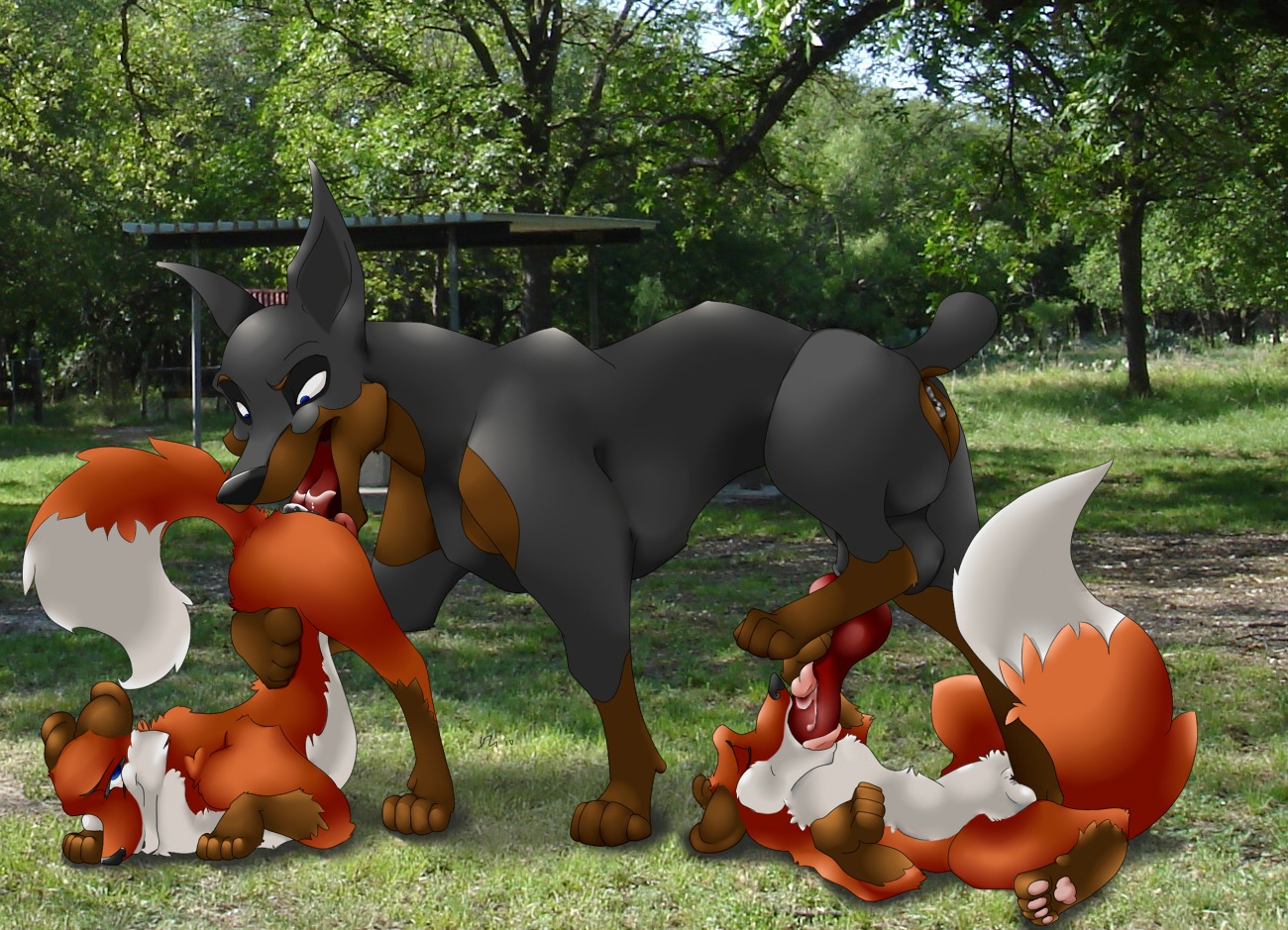 animal_genitalia animal_penis anus canid canine canine_genitalia canine_penis canis cunnilingus dipstick_tail dobermann domestic_dog e621 erection female feral feral_on_feral fox genitals group interspecies klaus_doberman_(character) knot male male/female mammal markings nude oral penis pinscher pointy_ears prick_ears quadruped red_fox severus sex tail tail_markings toony true_fox vaginal vulva