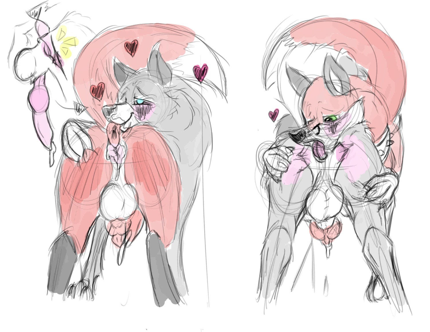 absurd_res anal anal_penetration anthro anus balls butt canid canine canis domestic_dog duo e621 erection fox genitals hi_res husky magnificent-arsehole male male/male male_penetrated male_penetrating male_penetrating_male mammal mutual_anal mutual_oral mutual_rimming nordic_sled_dog oral penetration penis prostate raised_tail rimming sex simple_background sketch spitz tail tongue tongue_out tongue_penetration