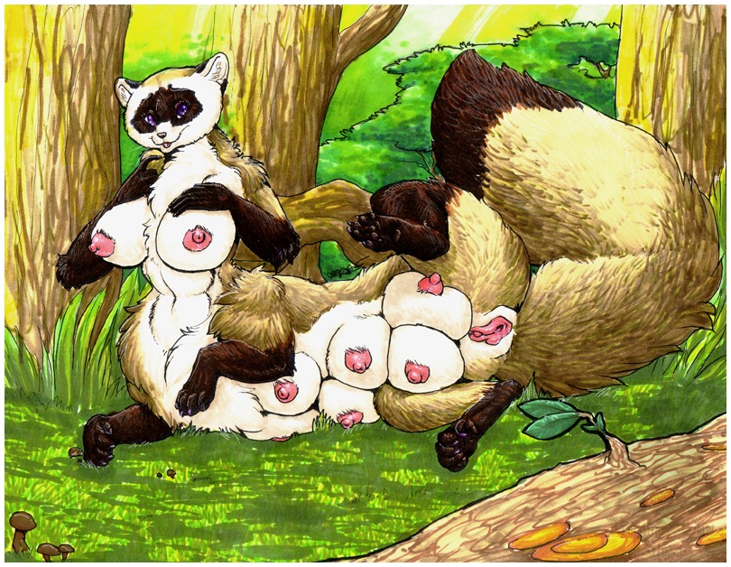 8_breasts breasts detailed_background domestic_ferret e621 farorenightclaw female forest genitals hyper mammal multi_breast mustelid musteline nature nipples nude outside plant solo tail taur tree true_musteline vulva weasel wood