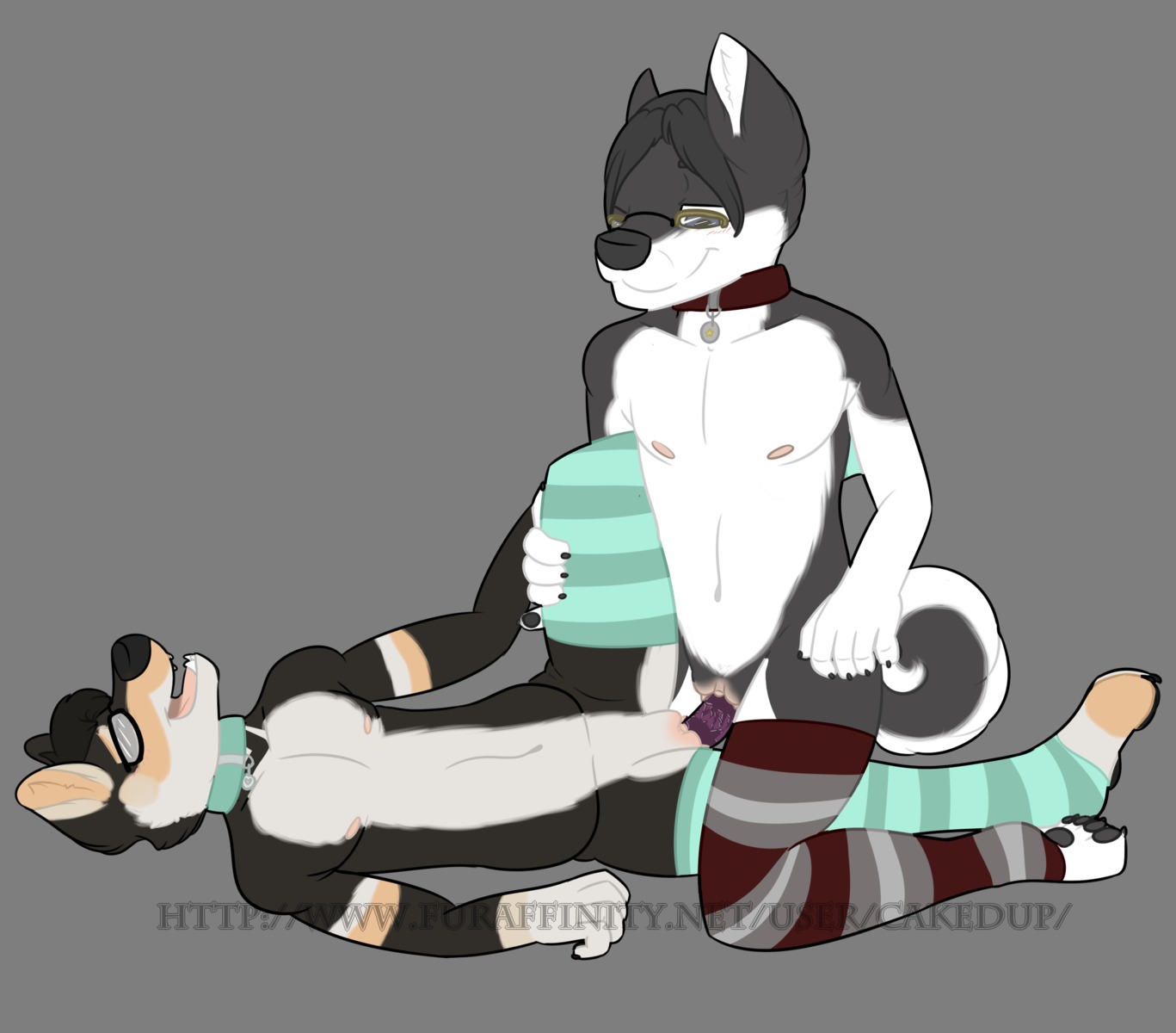 alpha_channel andromorph andromorph/andromorph anthro cakedup canid canine canis clitoris clothing collar dildo domestic_dog double_dildo duo e621 eyewear genitals glasses hi_res husky intersex intersex/intersex legwear mammal nordic_sled_dog pattern_clothing pattern_legwear penetration servo sex_toy shiba_inu spitz stockings striped_clothing striped_legwear stripes vaginal vulva