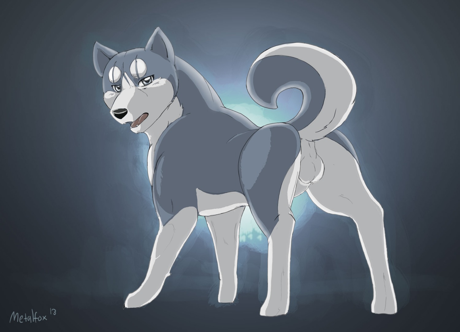 2013 abstract_background backsack balls butt canid canine canis domestic_dog e621 feral genitals gin_(ginga) ginga_(series) hi_res looking_at_viewer looking_back male mammal metalfox nude open_mouth presenting presenting_hindquarters raised_tail simple_background solo tail