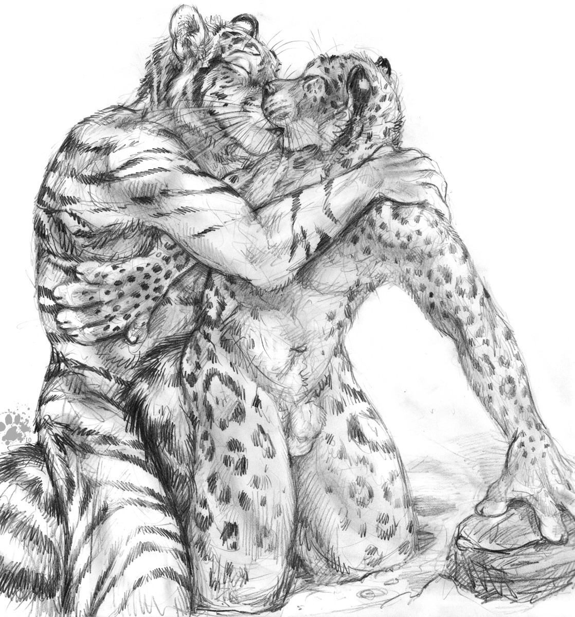 2010 animal_genitalia anthro blotch duo e621 eyes_closed felid flaccid fully_sheathed fur genitals graphite_(artwork) greyscale hand_on_chest hand_on_shoulder hi_res imminent_anal kissing kneeling leopard_spots male male/male mammal monochrome nude outside pantherine penis scratches_volume_4 sheath simple_background snow_leopard spots straddling stripes tiger traditional_media_(artwork) whiskers white_background