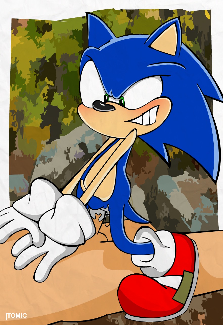 anthro balls big_eyes big_head blue_body blue_fur blue_hair bodily_fluids clothing cum duo e621 erection eulipotyphlan footwear fur genital_fluids genitals green_eyes hair hedgehog hi_res human human_on_anthro interspecies male male/male mammal nude penis sega sex shoes side_mouth sonic_the_hedgehog sonic_the_hedgehog_(series) tail toony unknown_artist