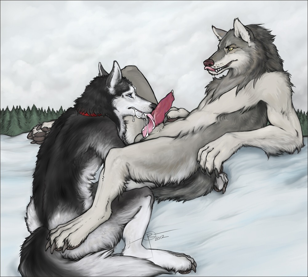 2012 anthro bodily_fluids canid canine canis cum cum_in_mouth cum_inside domestic_dog duo e621 erection fellatio genital_fluids genitals husky licking male male/male male_penetrated male_penetrating male_penetrating_male mammal nordic_sled_dog oral penetration penile penis penis_lick rimestar sex spitz tail tongue tongue_out wolf