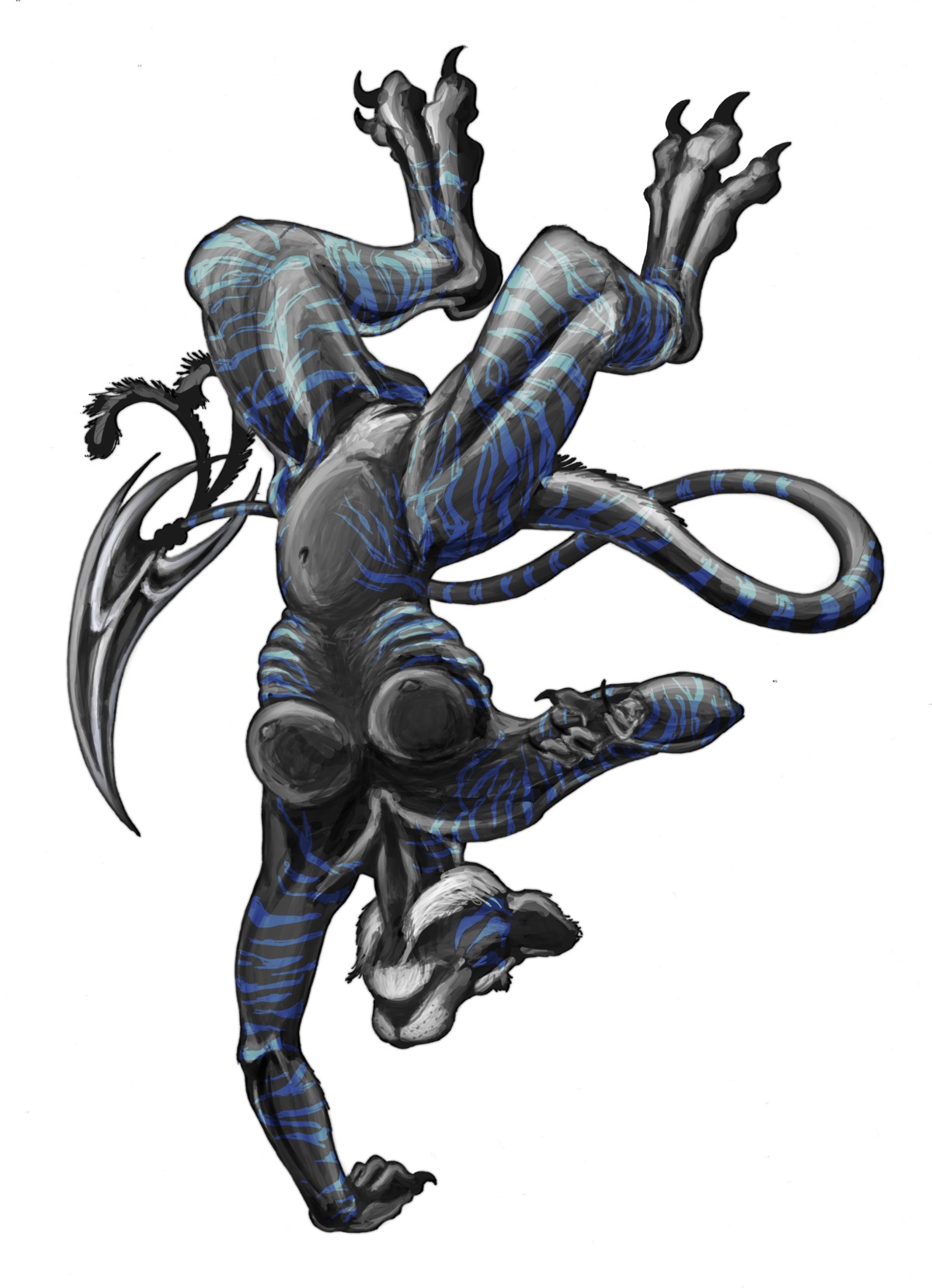 absurd_res anthro athletic black_body black_fur black_nipples breasts digital_media_(artwork) e621 feet felid female full-length_portrait fur genitals handstand hi_res mammal muscular nipples nude on_one_hand pantherine portrait ribs simple_background solo tail talons talonthekiller tiger toes upside_down vulva white_background