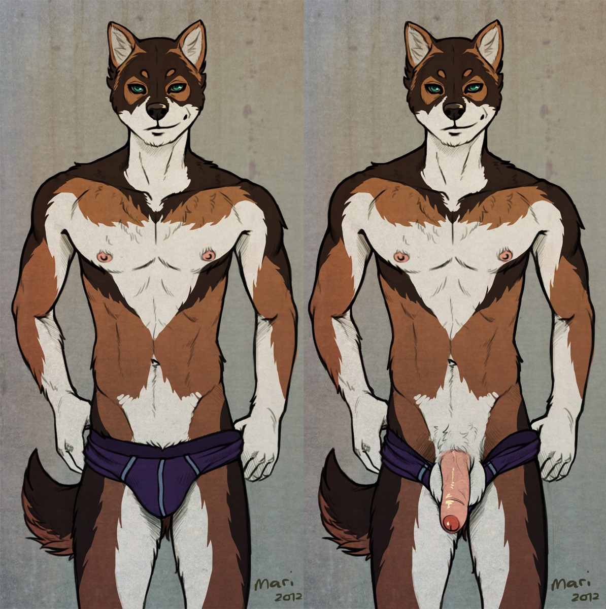 2012 abs anthro balls biceps biped canid canine clothed clothing e621 foreskin genitals glans green_eyes half-erect hi_res humanoid_genitalia humanoid_penis killerbunnys looking_at_viewer male mammal mariart multiple_versions muscular muscular_anthro muscular_male nipples off/on partially_clothed partially_retracted_foreskin pecs penis presenting simple_background solo standing tail topless underwear underwear_down