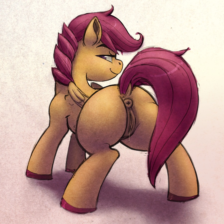 1:1 2012 anus butt chromaskunk colored digital_media_(artwork) dripping e621 equid equine feathered_wings feathers female feral friendship_is_magic genitals hair hasbro kevinsano looking_at_viewer looking_back mammal my_little_pony mythological_creature mythological_equine mythology orange_body orange_feathers pegasus presenting puffy_anus purple_eyes purple_hair quadruped scootaloo_(mlp) simple_background smile solo tail vulva wings young young_feral