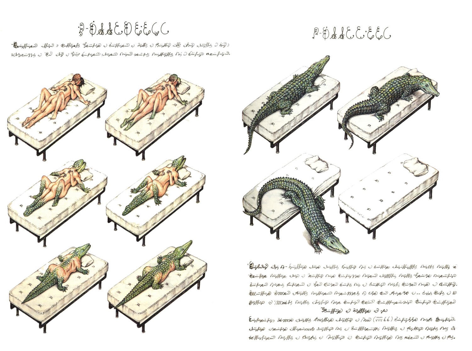 1981 alligator alligatorid bed black_hair brown_hair butt codex_seraphinianus crocodilian e621 feral from_front_position furniture fusion green_body green_scales group hair hi_res human luigi_serafini lying male mammal merging missionary_position on_back on_bed pillow reptile scales scalie sex short_hair simple_background solo_focus text traditional_media_(artwork) transformation what what_has_science_done white_background white_bed white_pillow why