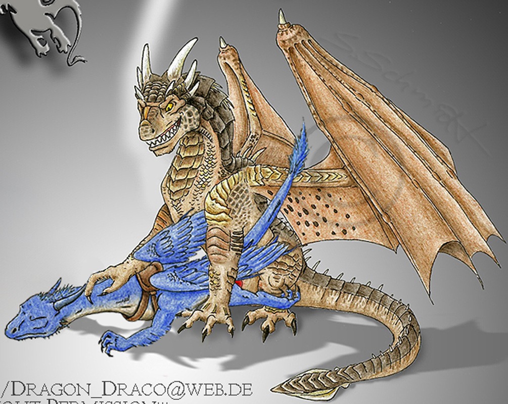 couple draco dragon dragoness dragonheart eragon female feral male penetration penis photoshop rule34 safira scalie strecno wings