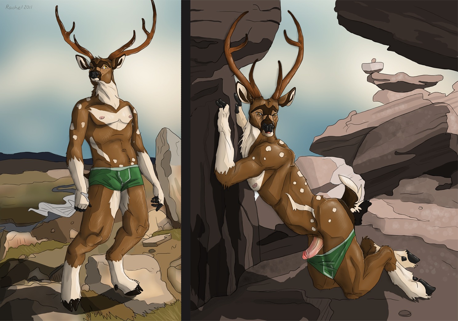 1boy anthro antlers balls cervine color day deer fur green_underwear hooves horns kneeling looking_at_viewer male male_only markings nipples open_mouth outdoors penis pose rachel_(artist) rocks rule34 skimpy solo spots standing tail underwear wilderness yellow_eyes