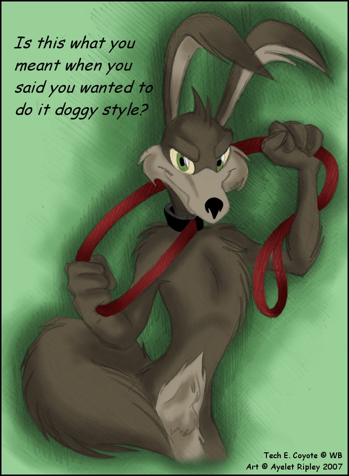 anthro ayelet_ripley furry loonatics_unleashed male male_only rule34 tagme tech_e._coyote