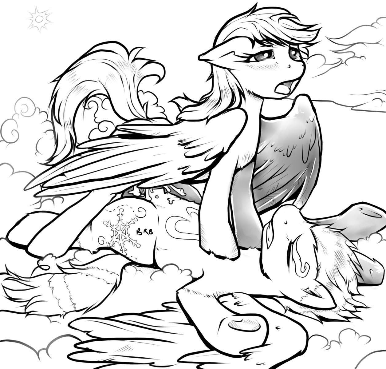 bcs equine female feral feral_on_feral friendship_is_magic horse male my_little_pony pegasus pony rainbow_dash_(mlp) rule34 smooth_skin tagme