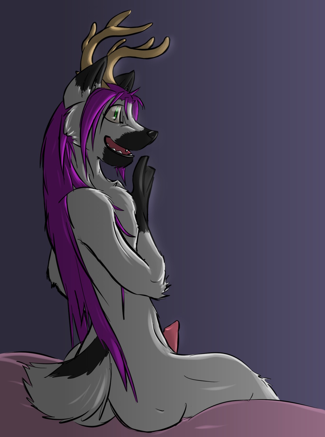 2010 animal_genitalia animal_penis anthro antlers bed biped black_body black_fur butt canid canine canine_genitalia canine_penis canis colored_sketch deer dipstick_ears domestic_dog e621 ear_markings erection facial_markings fur furniture genitals german_shepherd gloves_(marking) green_eyes grey_body grey_fur hair head_markings herding_dog hi_res horn hybrid inner_ear_fluff long_hair male mammal markings multicolored_ears muzzle_(marking) nude on_bed open_mouth open_smile pastoral_dog penis purple_background purple_hair short_tail simple_background sitting sketch smile snout snout_markings solo syynx tail teeth tuft white_body white_fur wide_eyed