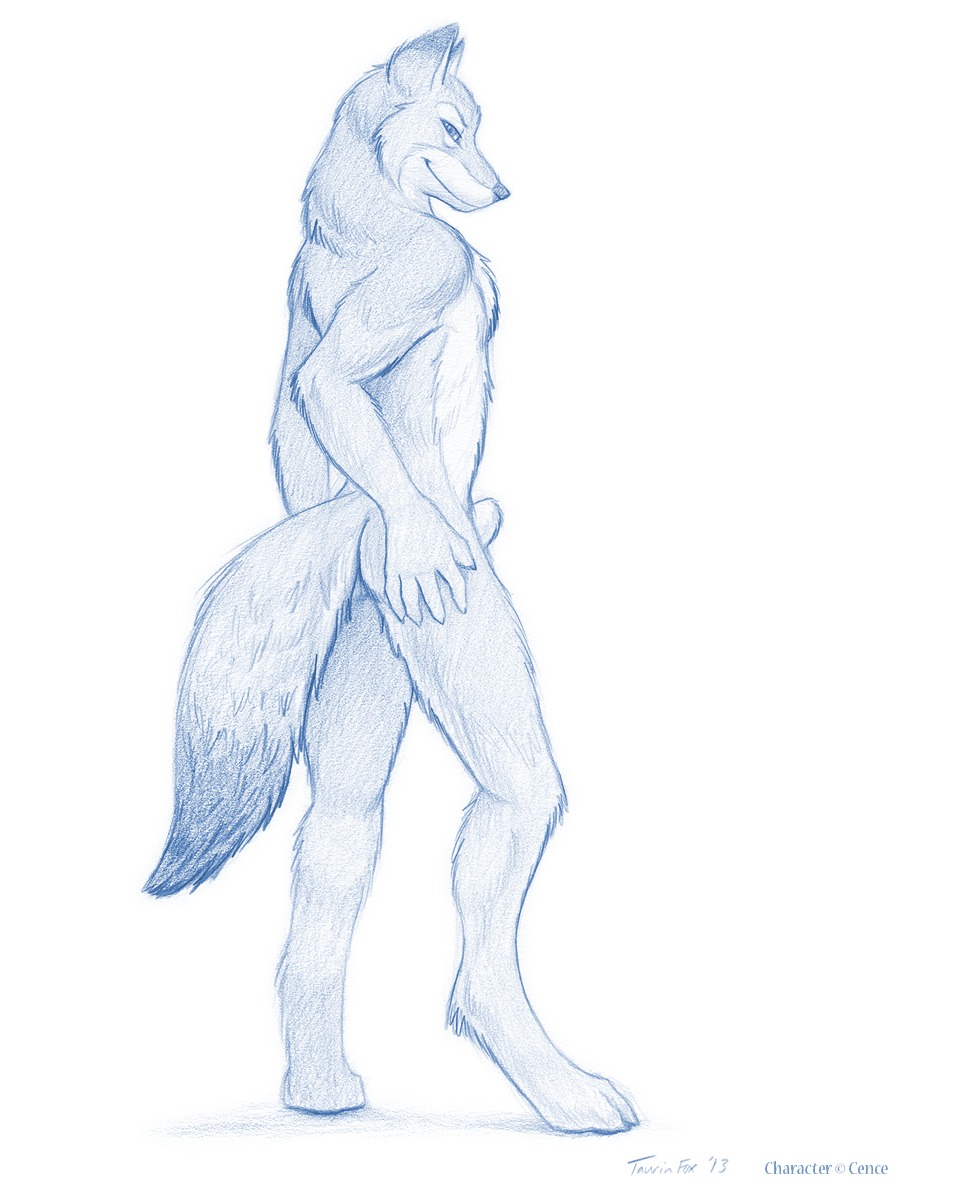 2013 4:5 animal_genitalia anthro blue_and_white canid canine canis cence digitigrade e621 fully_sheathed genitals hand_on_hip hi_res looking_at_viewer looking_back looking_back_at_viewer male mammal monochrome nude pose sheath simple_background solo taurin_fox white_background wolf