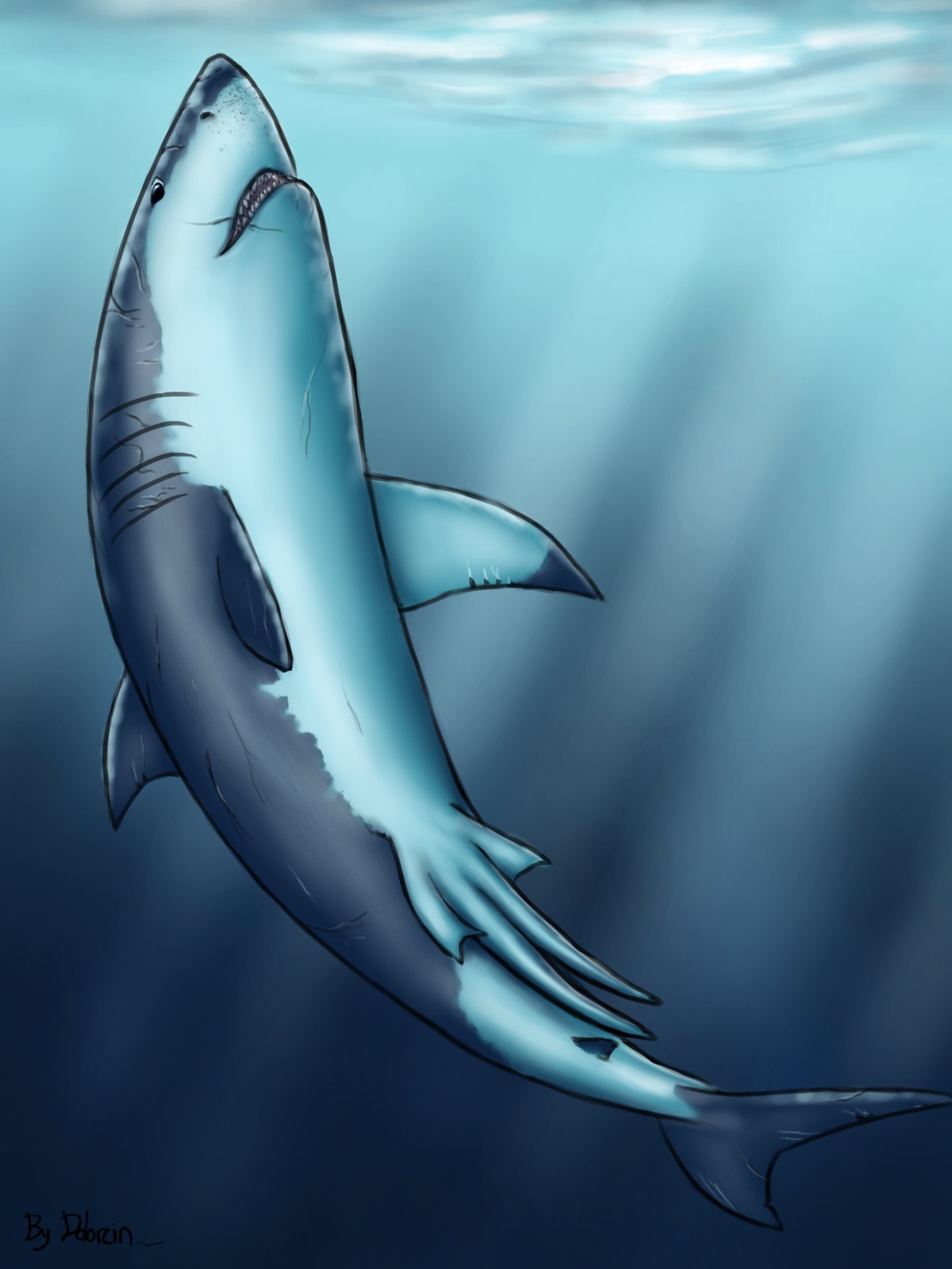 3:4 absurd_res anatomically_correct animal_genitalia aquatic black_eyes claspers dolorcin e621 feral fish genitals gills hi_res male multi_genitalia multi_penis nude penis scar sea shark solo water