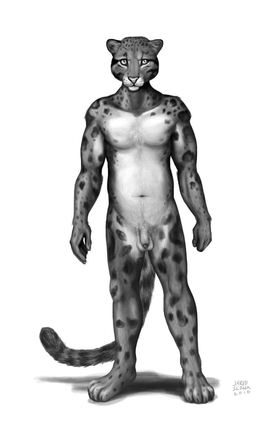 2010 4_toes 5_fingers animal_genitalia animal_penis anthro aokineko balls body_hair chest_tuft claws clouded_leopard e621 feet felid fingers flaccid front_view genitals greyscale happy_trail hi_res looking_at_viewer male mammal monochrome navel nipples nude pantherine penis penis_tip pubes retsnoma sheath simple_background solo spots standing tail toes tuft white_background