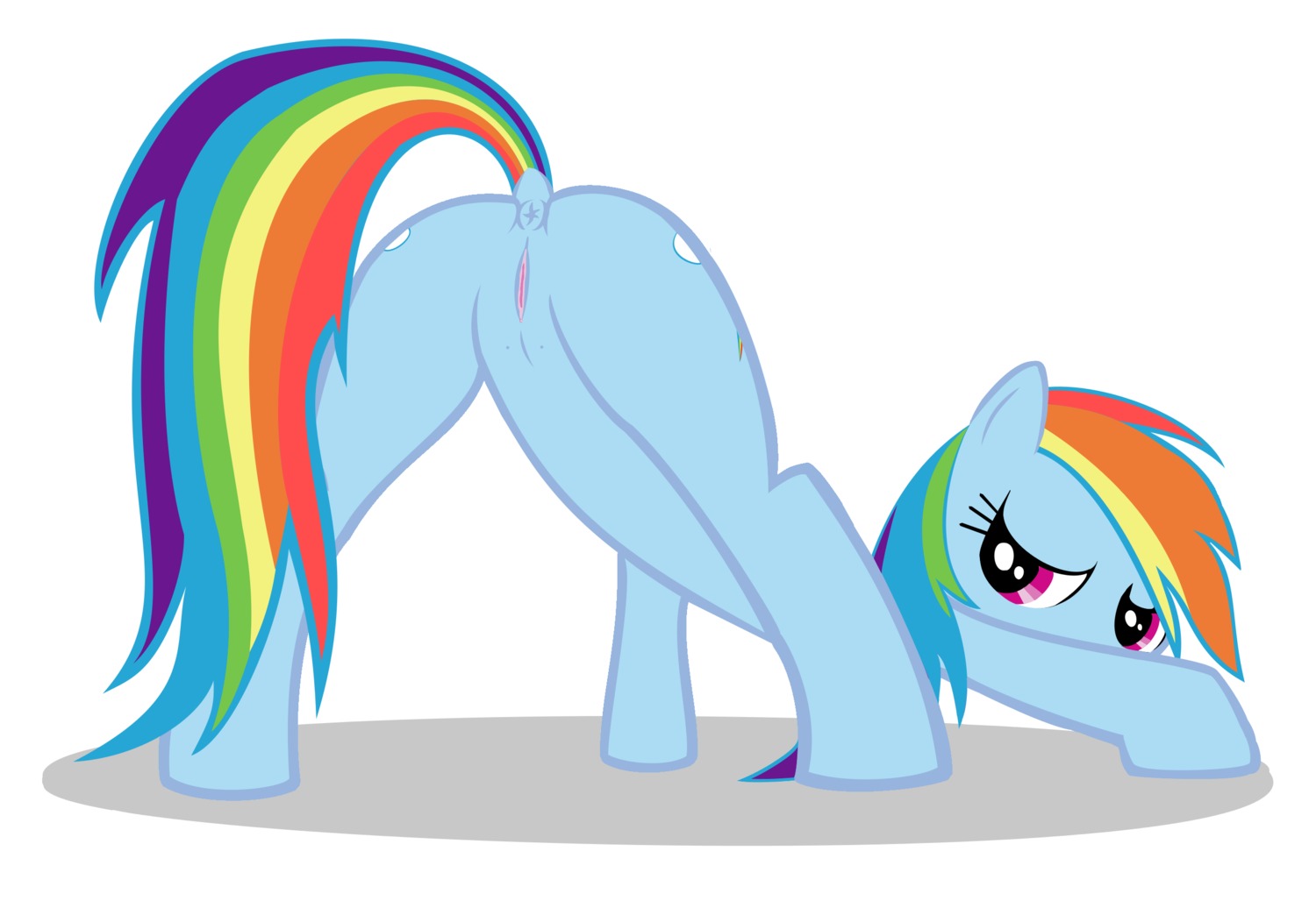 anus blue_body blue_fur butt cutie_mark e621 equid equine female feral friendship_is_magic fur genitals hair hasbro hi_res horse looking_at_viewer mammal multicolored_hair multicolored_tail my_little_pony neckbeardotw pony presenting presenting_hindquarters purple_eyes rainbow_dash_(mlp) rainbow_hair rainbow_tail solo tail teats vulva