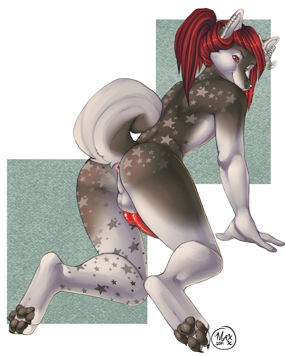 2014 4:5 all_fours anthro anus backsack balls biped black_nose butt canid canine canis domestic_dog e621 ear_piercing erection femboy genitals hair hi_res husky khanaar long_hair looking_at_viewer looking_back looking_back_at_viewer male mammal nordic_sled_dog pawpads paws penis piercing presenting presenting_anus presenting_hindquarters presenting_penis red_eyes red_hair red_penis reina. solo spitz