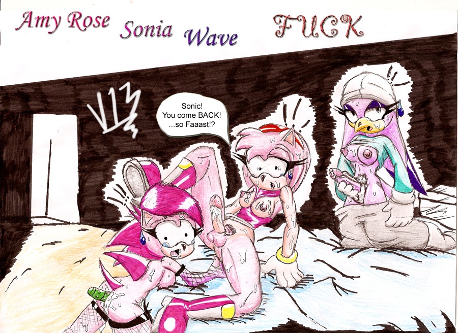 amy_rose anthro avian bird breasts fur furry futanari hedgehog intersex mammal masturbation nipples penis rule34 sonia_the_hedgehog sonic_(series) sonic_riders sonic_underground uncensored v13 wave_the_swallow