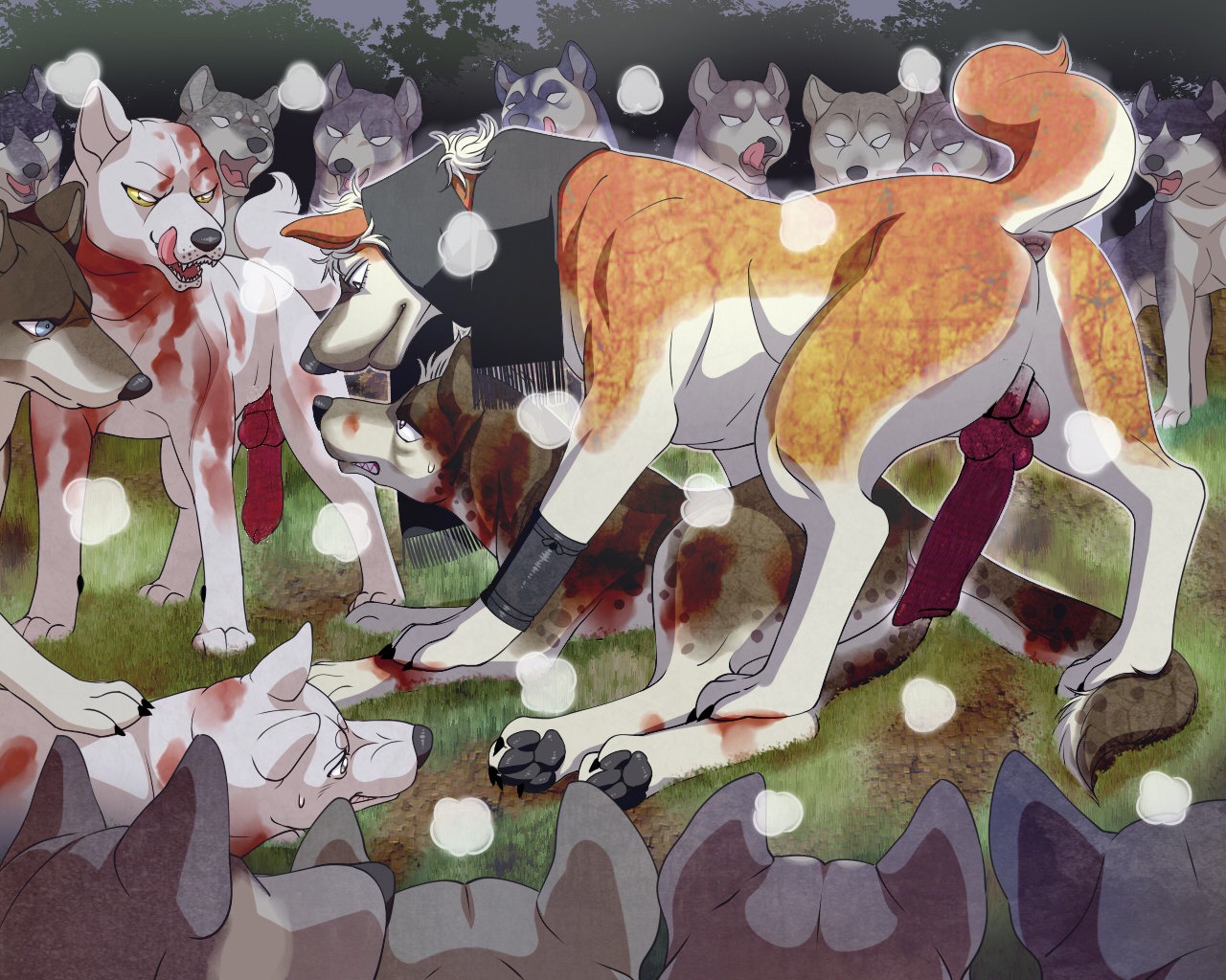 5:4 akita amanda_amada animal_genitalia animal_penis anus backsack balls canid canine canine_genitalia canine_penis canis censor_removal_edit clenched_teeth domestic_dog e621 erection feet feral feral_on_feral genitals ginga_(series) group hindpaw knot male male/male mammal masamune_(ginga) masashige_(ginga) open_mouth paws penis raised_tail shikoku_ken shirozaru_(ginga) spitz tail teeth tesshin_(ginga) third-party_edit tongue upside_down_penis