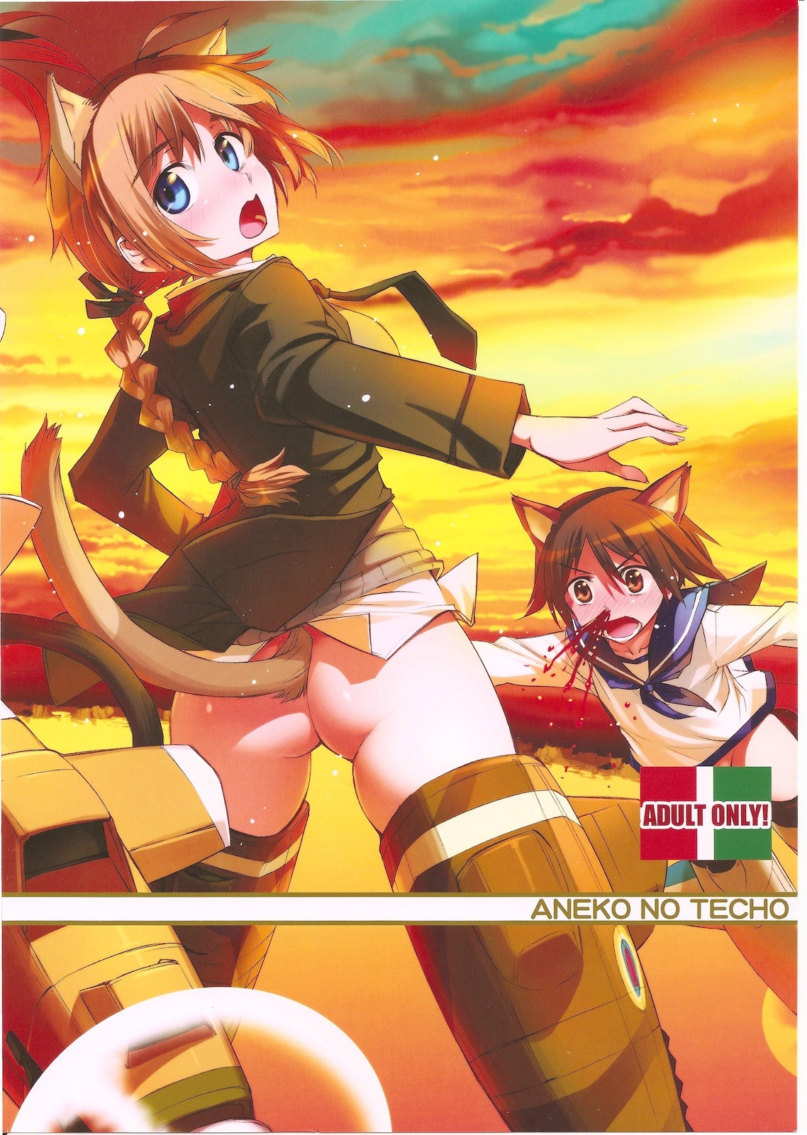 aneko_no_techo ass blush clothing female jpeg_artifacts kemonomimi koume_keito lynette_bishop miyafuji_yoshika no_panties rule34 strike_witches tail world_witches_series