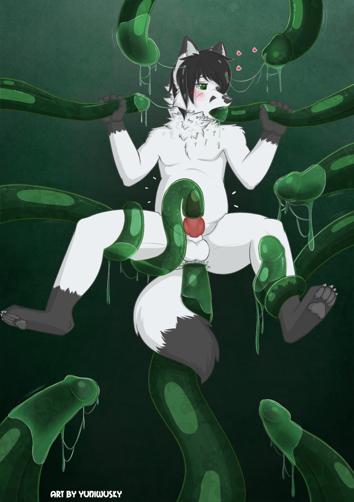 2013 anal anal_penetration anthro arctic_fox blush bodily_fluids bulge canid canine cum dipstick_tail drippy e621 erection fox genital_fluids genitals gloves_(marking) heart_symbol knot leg_markings male mammal markings messy oral oral_penetration penetration penis penis_in_tentacle penis_tentacles restrained robbygood sex socks_(marking) solo spread_legs spreading tail tail_markings tentacle_fellatio tentacle_grab tentacle_in_mouth tentacle_penetration tentacle_sex tentacles true_fox yuniwolfsky