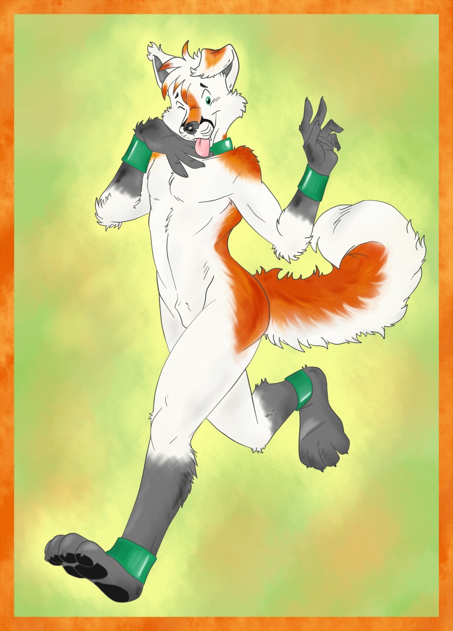 1boy 2010 aggrobadger anthro canine collar fox fur furry husky hybrid male male_only nude rule34 sheath smooth_skin solo tail