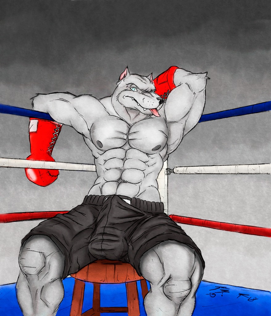 2013 abs anthro athletic balls_outline biceps big_muscles biped black_nose blue_eyes bottomwear boxing bulge canid canine canis chair clothed clothing crazydrak detailed_bulge domestic_dog e621 erection erection_under_clothing fangs flexing fur furniture genital_outline gloves grey_body grey_fur grey_nipples hand_behind_head handwear looking_at_viewer male mammal muscular muscular_anthro muscular_male nipples pecs penis_outline pit_bull pose reclining shorts sitting solo sport stool teeth tongue tongue_out topless