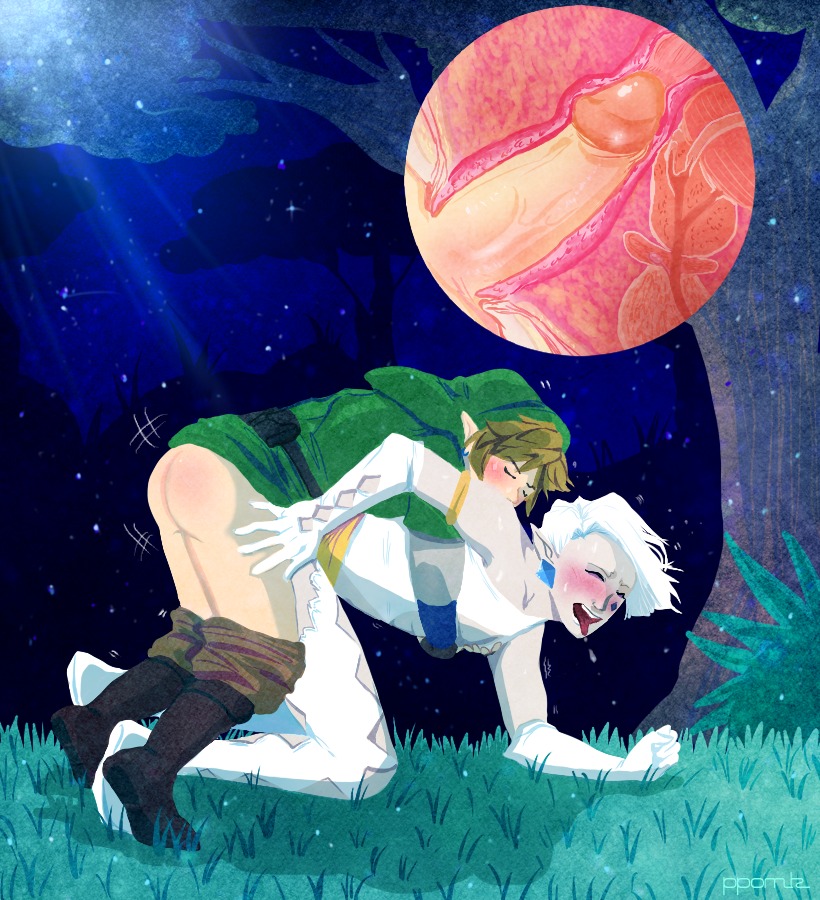 anal gay ghirahim link male penis prostate rule34 sex skyward_sword the_legend_of_zelda x-ray yaoi