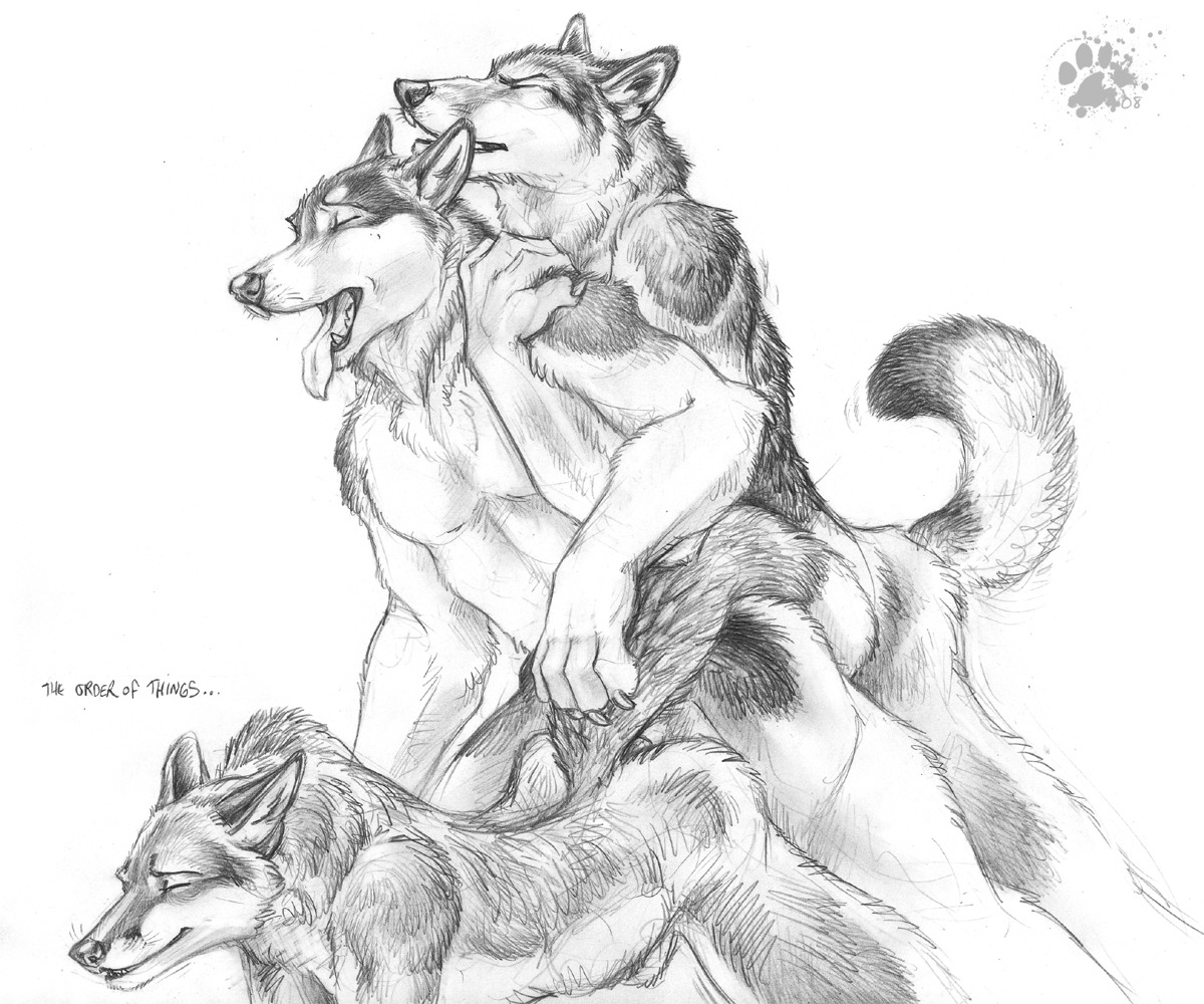 2008 6:5 anal anal_penetration anthro anthro_on_anthro balls_deep blotch canid canine canis claws domestic_dog e621 eyes_closed finger_claws fox genitals group group_sex husky looking_pleasured male male/male male_penetrated male_penetrating male_penetrating_male mammal monochrome nordic_sled_dog nude penetration penis scratches_volume_2 sex simple_background spitz tail threesome tongue tongue_out traditional_media_(artwork) train_position trio two_subs_one_dom whisker_spots white_background wolf