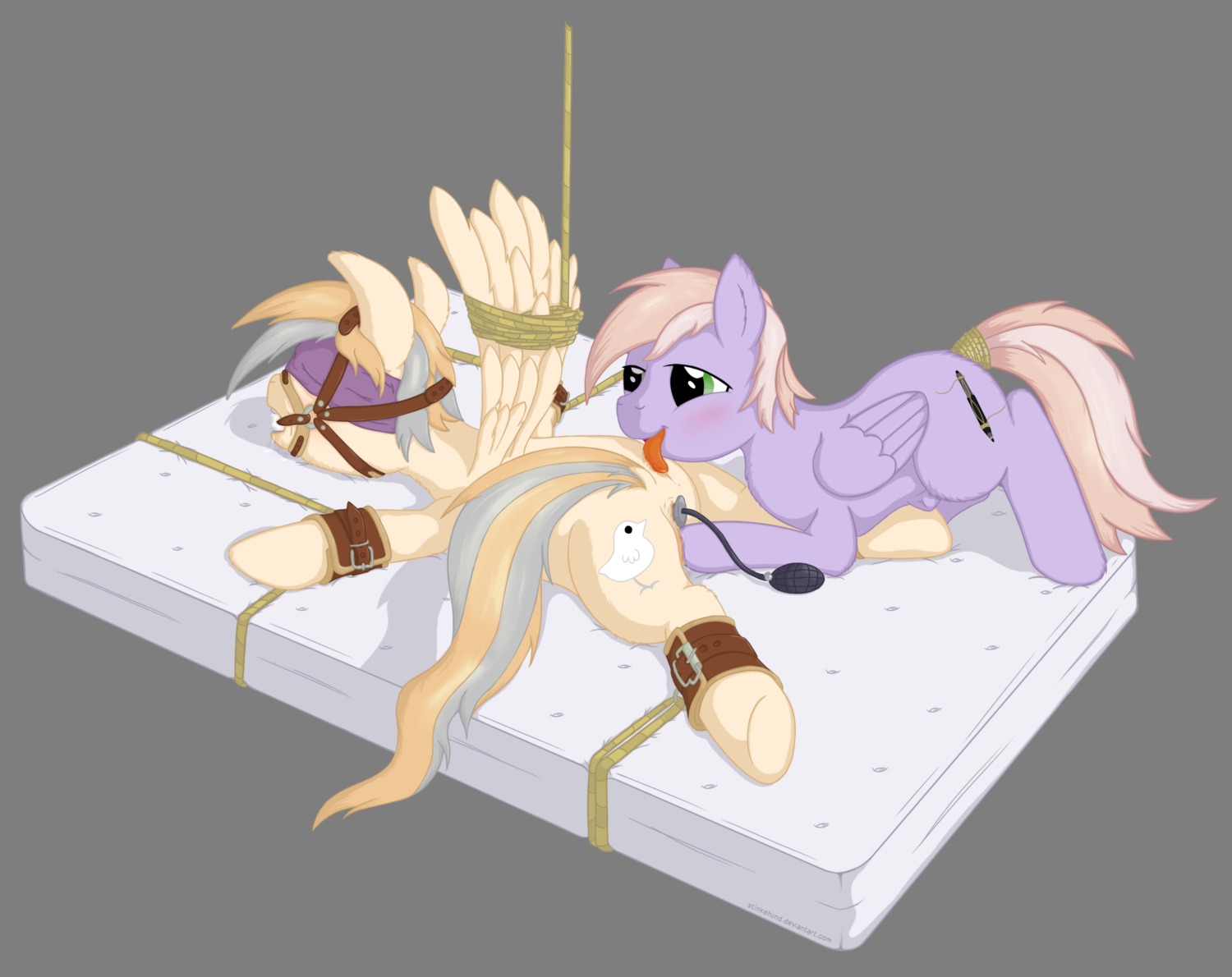 2013 alpha_channel ball_gag bdsm bed bed_bondage blindfold bondage bound buttplug cutie_mark digital_media_(artwork) dominant dominant_female duo e621 equid equine fan_character feathered_wings feathers female feral furniture gag gagged genitals hasbro hi_res male mammal mattress my_little_pony mythological_creature mythological_equine mythology pegasus plug_(sex_toy) restraints rope sex_toy simple_background spread_eagle stinkehund submissive submissive_male tail tail_wraps transparent_background vulva wings wraps