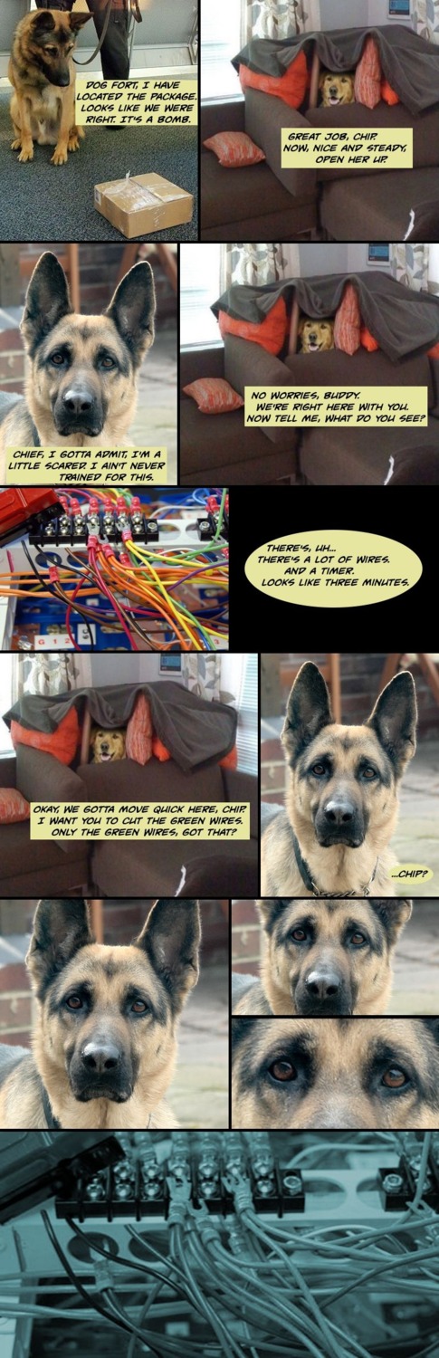 animal_genitalia balls bomb canid canine canis clothed clothing colorblind comic dialogue domestic_dog e621 english_text explosives feral genitals german_shepherd grandfathered_content group herding_dog hi_res humor male mammal nude pastoral_dog penis penis_tip real sheath text the_truth unknown_artist wire