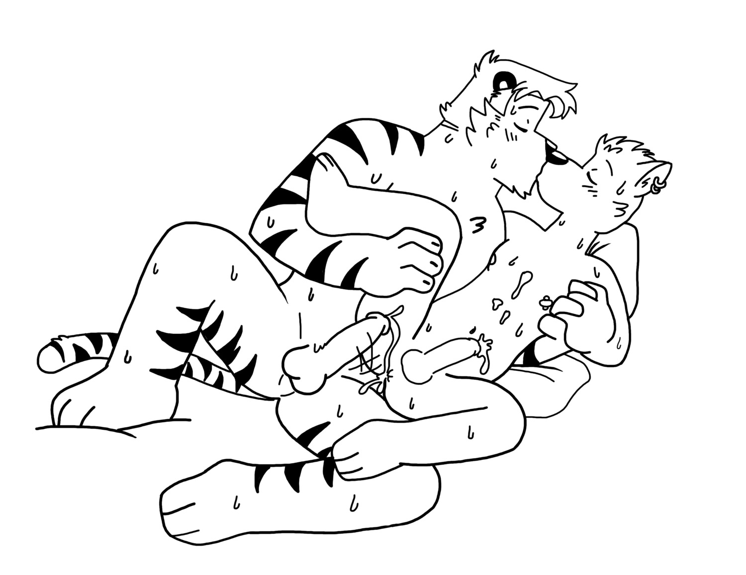 3_toes abs after_sex anal anthro anus balls black_and_white bodily_fluids butt canid canine canis claws cum cum_in_ass cum_inside domestic_dog dominant duo dylan_(vasuki) e621 ear_piercing erection eyes_closed feet felid genital_fluids genitals hi_res howie_(vasuki) humanoid_genitalia humanoid_penis kissing larger_dom larger_male line_art male male/male male_penetrated male_penetrating male_penetrating_male mammal monochrome nipple_piercing nipples nude pantherine penetration penis piercing sex shiba_inu size_difference smaller_male smaller_penetrated spitz spread_legs spreading sweat tail tiger toes vasuki