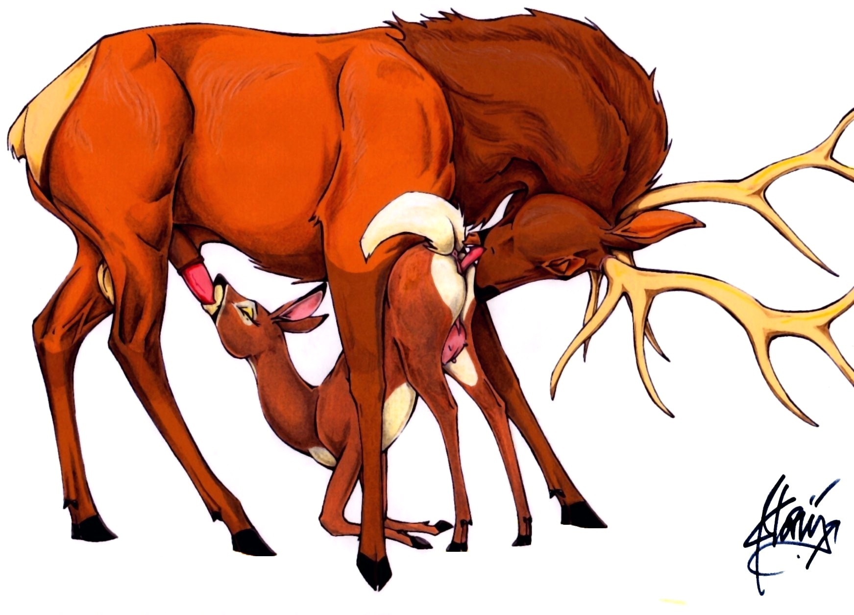 anatomically_correct animal_genitalia animal_penis antlers anus ass_up backsack balls cervine cervine_genitalia cervine_penis cunnilingus deer duo e621 elk erection eyes_closed fellatio female feral feral_on_feral genitals hi_res hooves horn klaus_doberman licking male male/female mammal new_world_deer nude oral penile penis raised_tail scut_tail sex short_tail tail tail_anus teats tongue tongue_out vaginal vulva white-tailed_deer