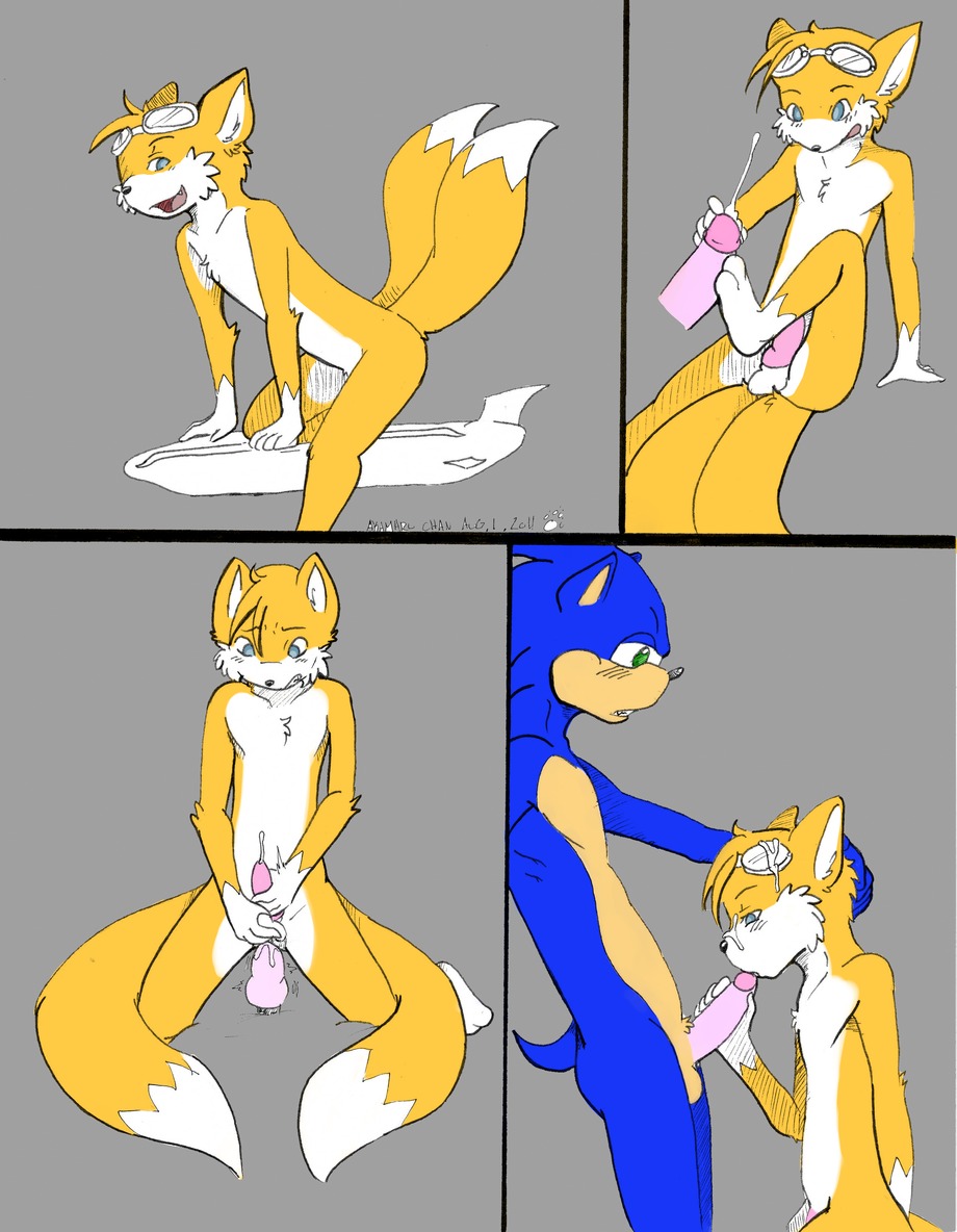 anthro blue_fur canine fox fur furry furry_only furry_tail hedgehog male multi_tail multiple_males rule34 sega sonic_(series) sonic_the_hedgehog sonic_the_hedgehog_(series) tagme tail tails tails_the_fox white_fur yaoi yellow_fur