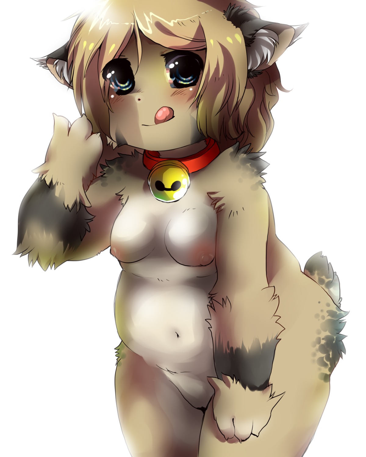 4:5 absurd_res bell belly blush breasts brown_body brown_fur collar e621 female fluffy fur genitals hi_res miri simple_background slightly_chubby solo spots tongue tongue_out vulva white_background