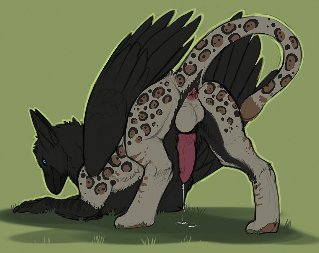 2014 anus ass_up avian backsack balls beak bird black_body black_feathers bodily_fluids butt conditional_dnp corvid corvus_(genus) cum cum_drip dripping e621 erection faunoiphilia feathered_wings feathers feet felid feral fur genital_fluids genitals grave_gryphon gryphon jaguar leopard_spots leucistic male mammal mythological_avian mythological_creature mythology nude oscine pantherine passerine penile_spines penis presenting presenting_hindquarters raised_tail raven rear_view solo spots tail tail_anus talons toes tojo_the_thief white_body white_fur wings