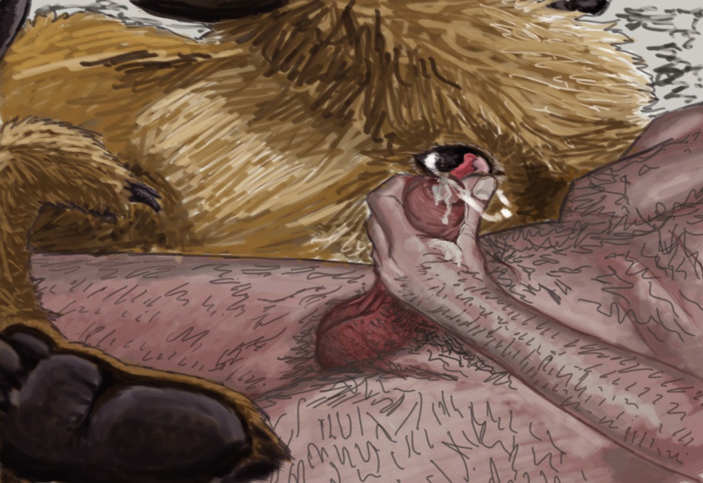 bare bear female feral gdane human male penis pussy rule34