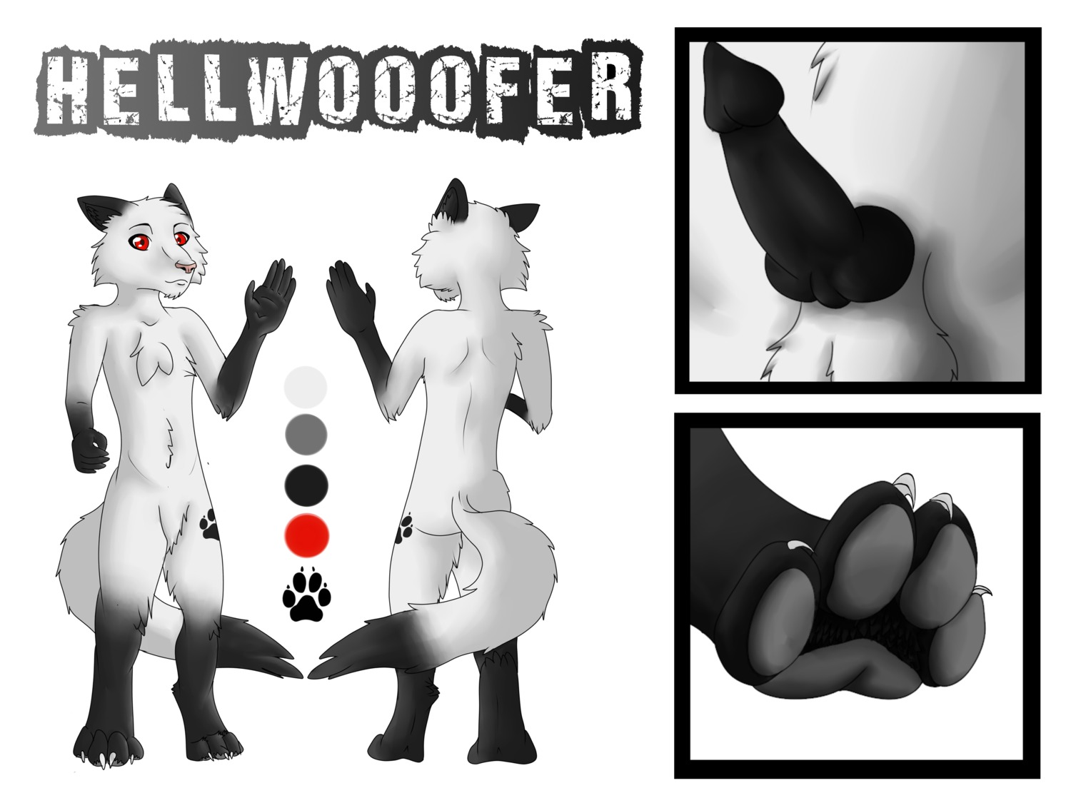 4:3 absurd_res anthro balls black_body black_fur black_penis canid canine claws dancrescentwolf digitigrade dipstick_tail domestic_cat e621 erection featureless_crotch feet felid felide feline felis fur genitals gloves_(marking) hellwooofer hi_res hindpaw hybrid leg_markings male mammal markings model_sheet nude paws penis raised_hand red_eyes socks_(marking) solo tail tail_markings white_body white_fur