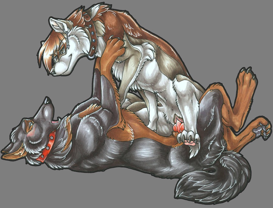 2010 alpha_channel anatomically_correct canine canine_penis canine_pussy collar domination ear_piercing earring female femdom feral furry furry_only knot male non-anthro on_back penetration penis piercing pussy rule34 sex spread_legs spreading straight transparent_background vaginal_penetration wielder